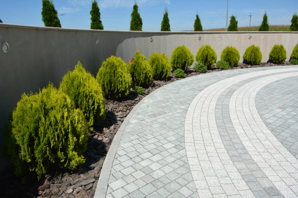 Reasons to Select Us for Your Driveway Paving Requirements in Milan, IL